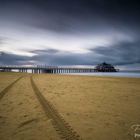 Studio Mare Nostrum Leilighet Blankenberge Eksteriør bilde